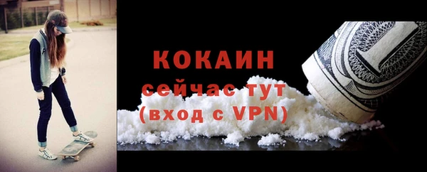 молекула духа Михайлов