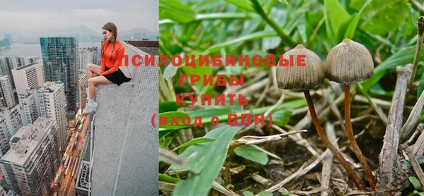 Альфа ПВП Михайловка