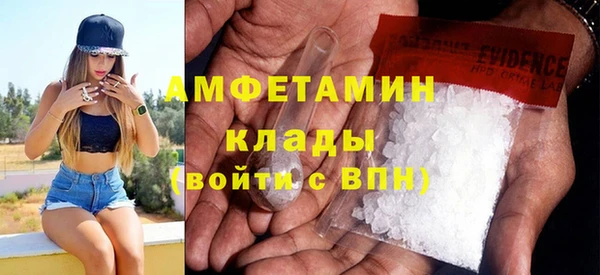 молекула духа Михайлов