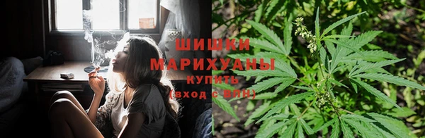 индика Навашино