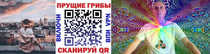 Псилоцибиновые грибы GOLDEN TEACHER  Киселёвск 